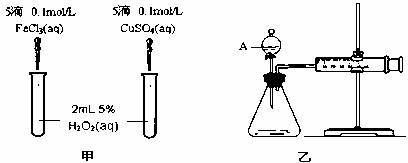 Fe³⁺与Cu²⁺催化H₂O₂分解效果的比较实验分析